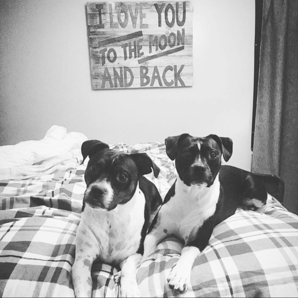 Meet your Posher, Bethany